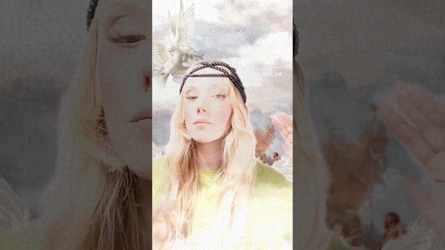 ✨ смотреть онлайн