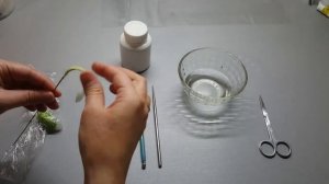 Мастер класс Подснежник из холодного фарфора. Часть 2