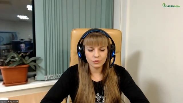 Разрешения на проезд негабаритной сельхозтехники: что изменится с 1 марта 2024 смотреть онлайн