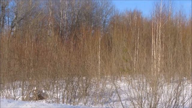 Обследование земельных участков Добрянского района Пермского края смотреть онлайн