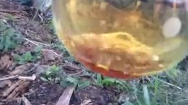 Приготовление масла смотреть онлайн