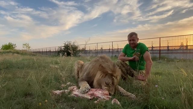 На то , как ЕСТ ЛЕВ можно смотреть долго ... смотреть онлайн