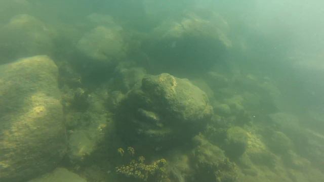 Koh Samui Coral Cove