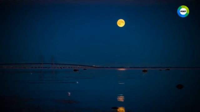 Невиданные СУЩЕСТВА обитают в глубинах морей и океанов! 08.12.2016 смотреть онлайн