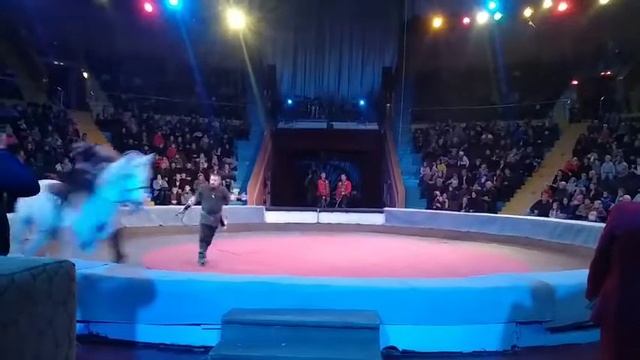 Амазонки. Джигиты смотреть онлайн