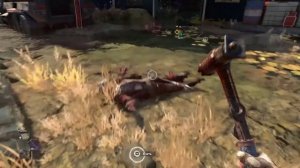 Прохождение Dying Light 2 - Развальцовка #22