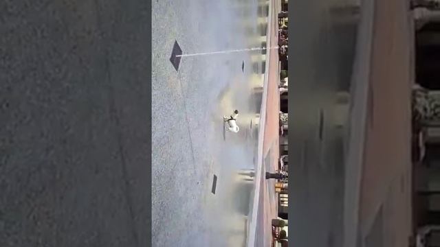 Jack Russell vs fountain in serravalle scrivia outlet смотреть онлайн
