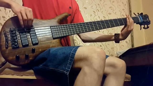 Sun Caged - Killer Banshee (bass cover) смотреть онлайн
