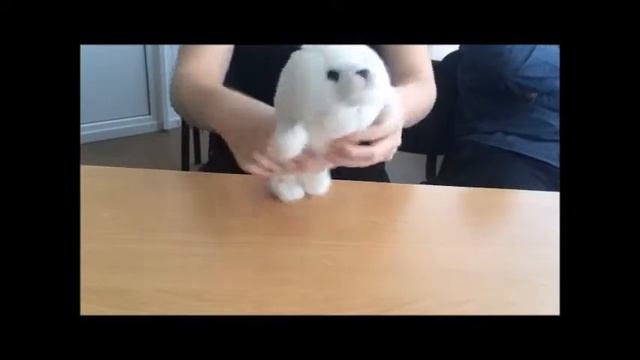 Тюлень Тюся отжигает под Ракамакафо (Фристайло) смотреть онлайн