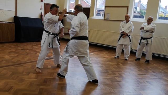 Naihanchi Kata and Kaisetsu / Bunkai - Wado Ryu Karate смотреть онлайн
