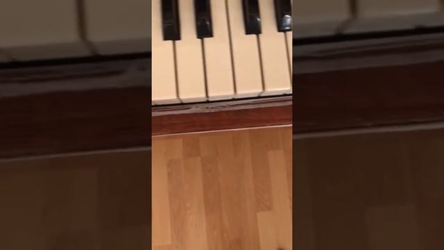 ЭКО средство Spesial paste смотреть онлайн