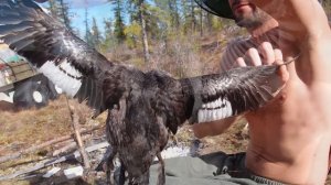 Две недели в тайге. Охота и рыбалка в Якутии.