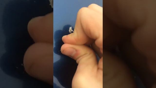 Удаление скотча или липких лент с краски авто смотреть онлайн