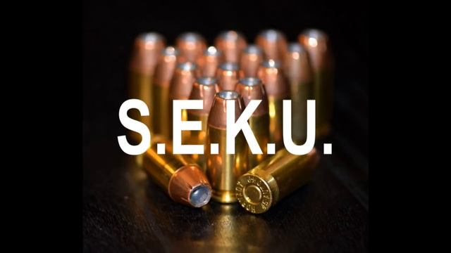 Seku- S.E.K.U. смотреть онлайн