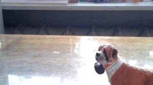 Собака из коллекции 3D собаки.