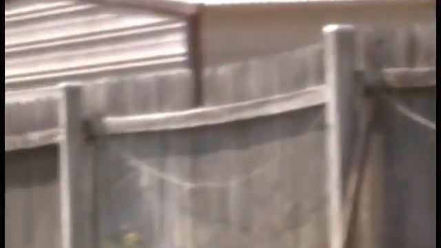 5 25 Whats New Pure Fagot Shit смотреть онлайн