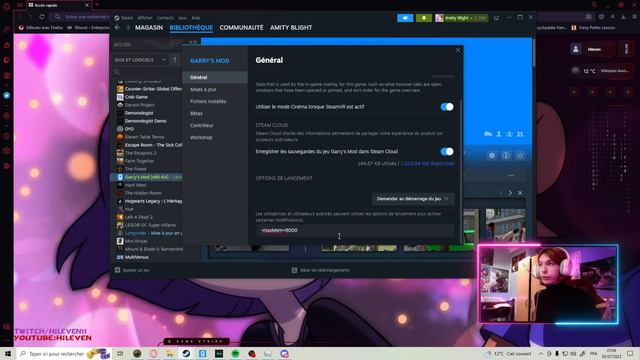 (TUTO) Comment allouer de la RAM à un jeu Steam? смотреть онлайн