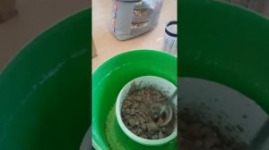 Волма аквалюкс приготовление смеси.