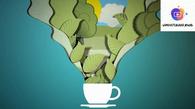 Как быстро остудить очень горячий напиток | Как быстро остудить горячий чай? смотреть онлайн