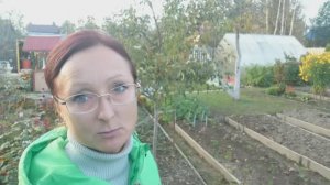 Видео привет с 6 соток в начале октября 2023 года