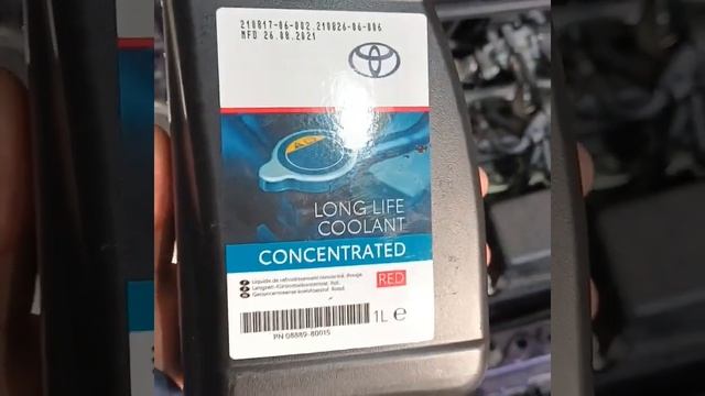 TOYOTA AQUA стоит ли покупать? /2 про антифриз смотреть онлайн