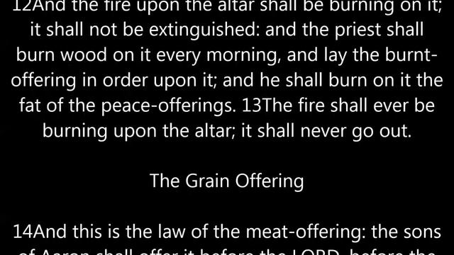 Karel Martinek - The Organ Bible / Part 96 - Leviticus 6 смотреть онлайн