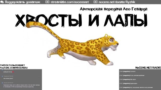 Хвосты и Лапы. Эфир Лео Гепарда от 1 июня 2021 смотреть онлайн