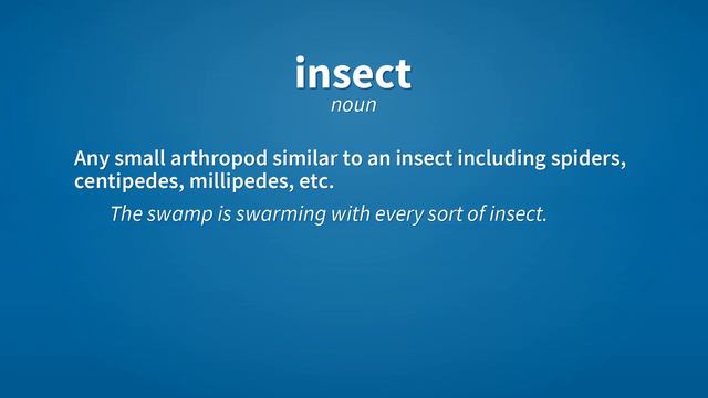 Insect | Meaning of insect смотреть онлайн