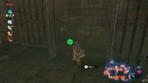 КАК ПОЛУЧИТЬ ХАЙЛИЙСКИЙ ЩИТ? Zelda:BotW РУССКИЙ ГАЙД