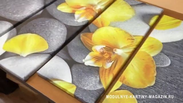 Модульная картина желтая орхидея на камнях смотреть онлайн