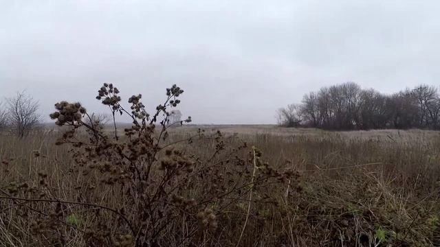Снова новые раскопки"Шурф! смотреть онлайн