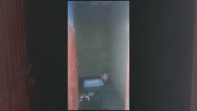 Muhammad Shafique||WR Wisteria||924/16/10/23/SP57FP924/03/11/23||SP57FP||SOCIAL WORK #SP57F #SP57FP