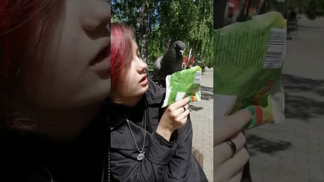 Странное имя для птицы смотреть онлайн