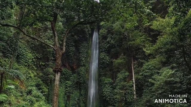 Водопад.Падающая вода.Музыка души. Waterfall. Falling Water. Music Of The Soul.#рек #премьера