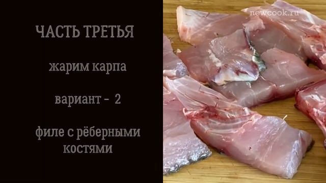 Фотография Портретов