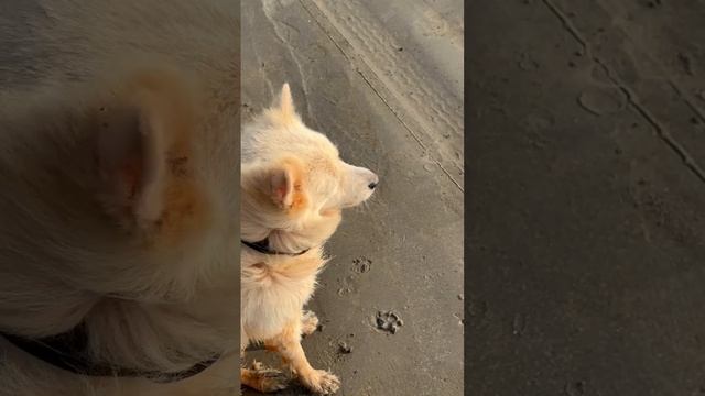 Не грусти) смотреть онлайн
