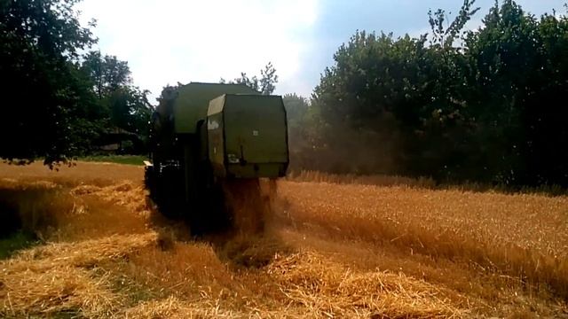 Уборка старим КОМБАЙНОМ Claas Corsar / Volvo S830 / LOVOL GM80 / MF 206 смотреть онлайн