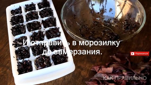 Как правильно заморозить базилик на зиму / how to freeze Basil смотреть онлайн