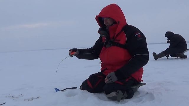 БЕЗМОТЫЛКА ЖГЁТ НА РЫБАЛКЕ! ЛЕСКИ ЗВЕНЯТ! Рыбалка на мормышку-козу в глухозимье смотреть онлайн