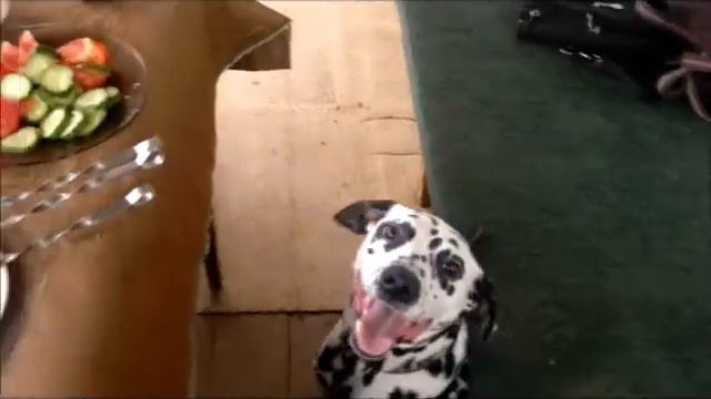 Шашлык, я точно знаю, ты на свете есть смотреть онлайн