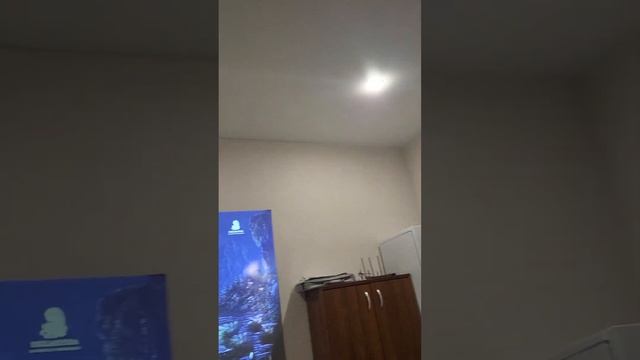 светоотражающий экран Thundeal 100