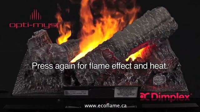 Opti Myst 400LH Cassette Opti-Myst Www.ecoflame.ca