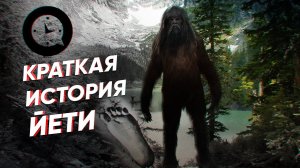Краткая история йети: загадка снежного человека