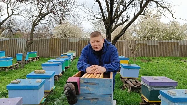 Вощина. Когда и как ставить вощину в пчелосемью. Как расширять пчел вощиной. смотреть онлайн