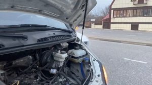 Газель фермер красавица  оцените ребята