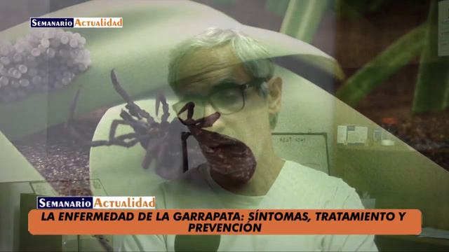 La enfermedad de la garrapata: Síntomas, tratamiento y prevención смотреть онлайн