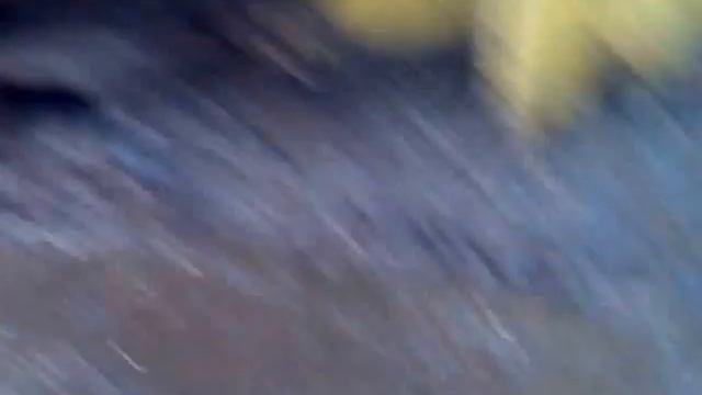 На чём приходится ездить господа, Стыд и позор, это же просто беда...