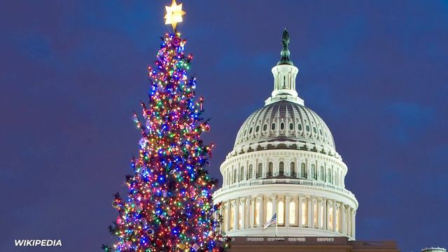 The World's Most Expensive Christmas Decorations