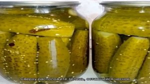 Как заготовить вкуснейшие соленые огурцы с горчицей на зиму