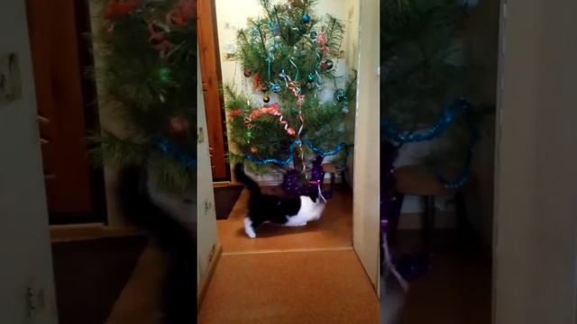 Как разобрать елку смотреть онлайн